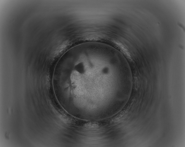 X0000092280354200710041415