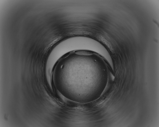 X0000092280356200710041415