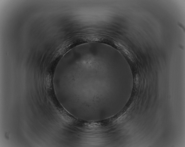 X0000092280359200710041415