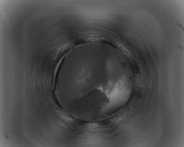 X0000092280361200710041415