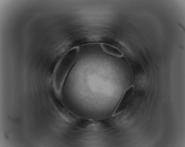 X0000092280364200710041415