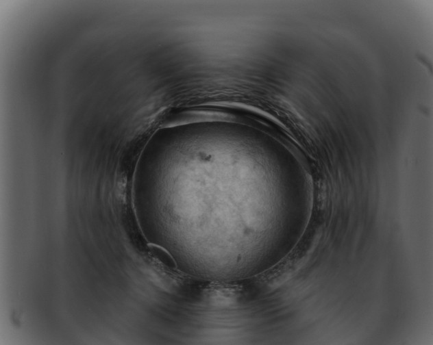 X0000092280368200710041415