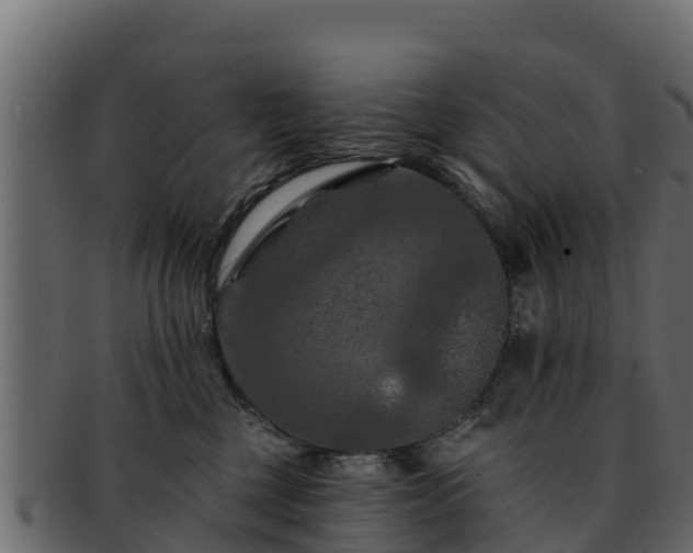 X0000092280377200710041415