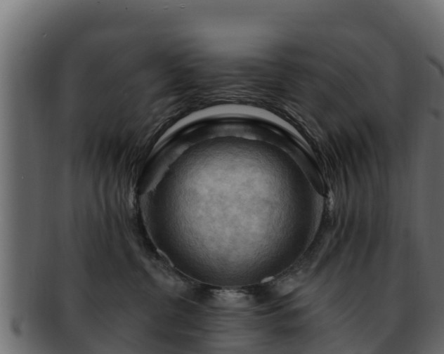 X0000092280380200710041415