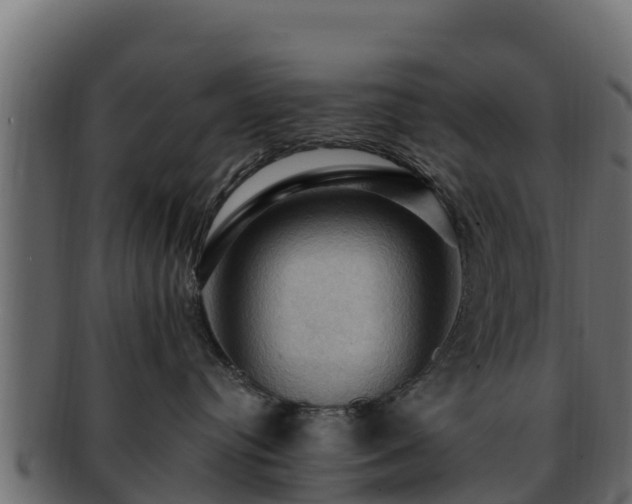 X0000092280384200710041415