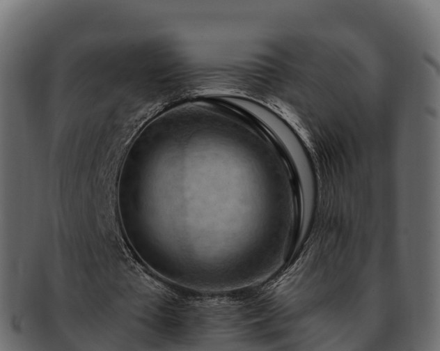 X0000092280385200710041415