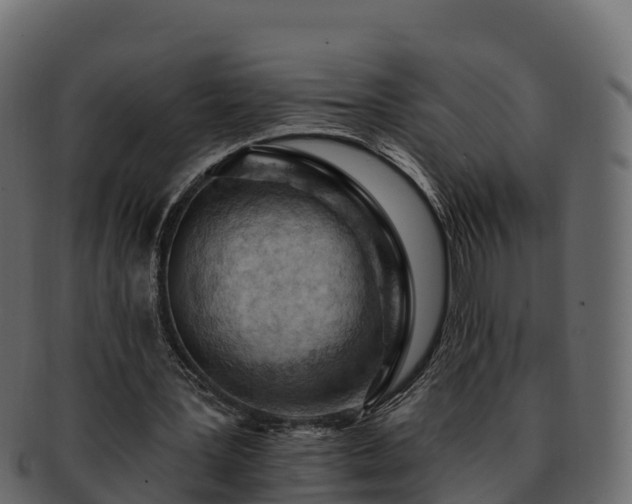 X0000092280387200710041414