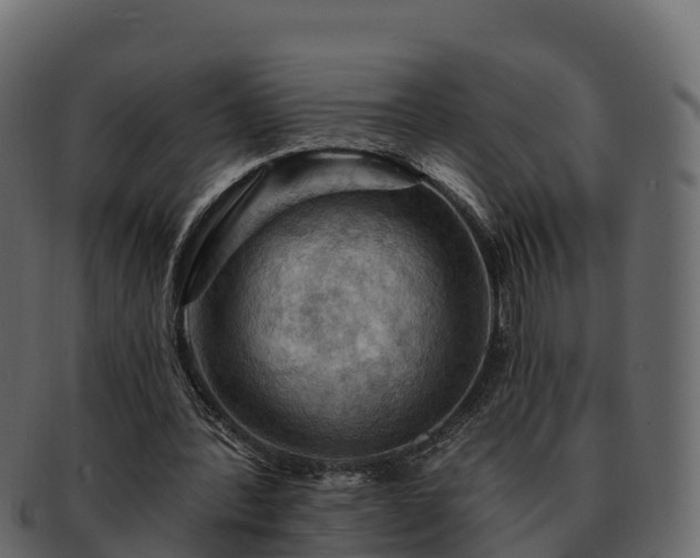 X0000092280388200710041414