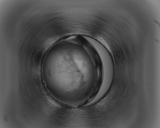 X0000092280389200710041414