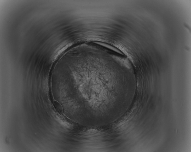 X0000092280390200710041414