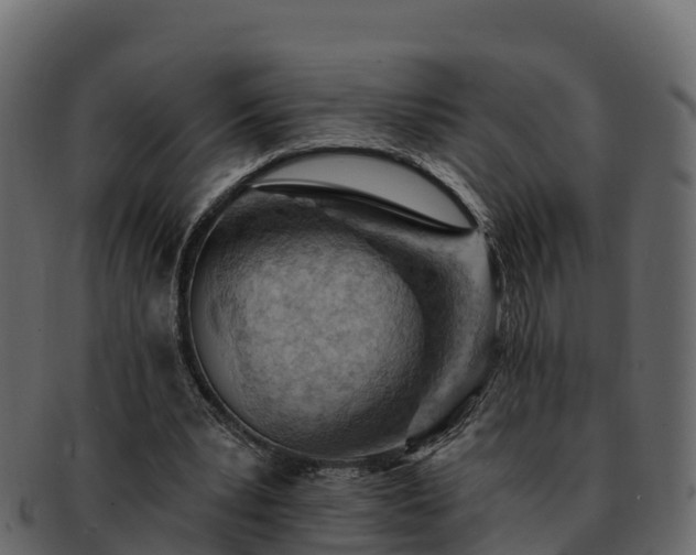 X0000092280391200710041414