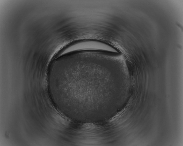 X0000092280392200710041414