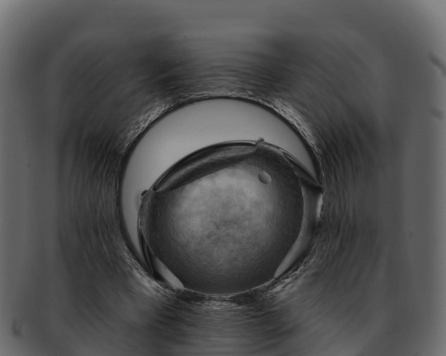 X0000092280393200710041414