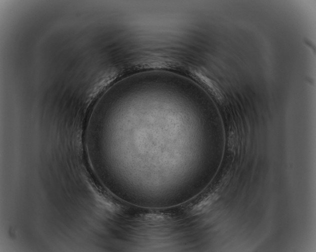 X0000092280394200710041414