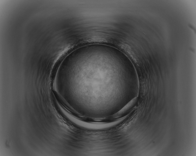 X0000092280395200710041414