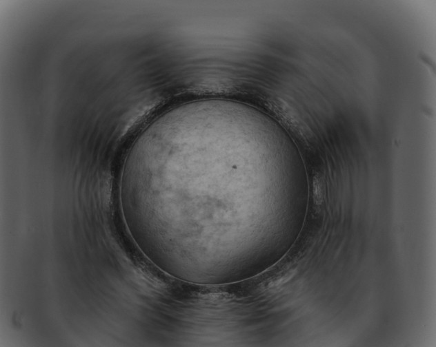 X0000092280396200710041414