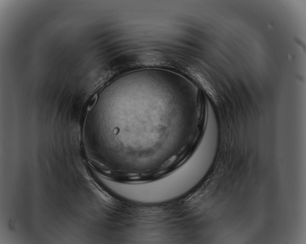 X0000092280397200710041414