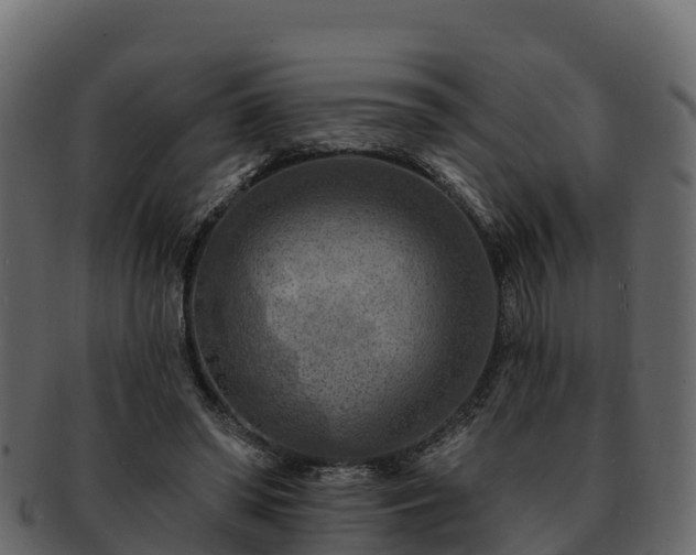 X0000092280398200710041414