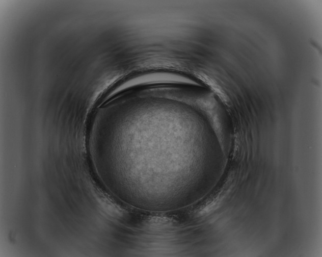 X0000092280399200710041414