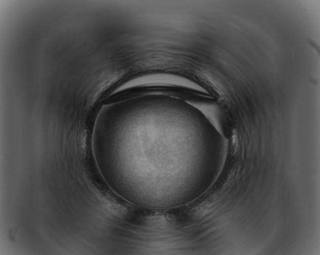 X0000092280404200710041414