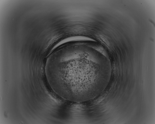 X0000092280408200710041414