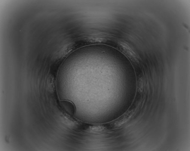 X0000092280414200710041414