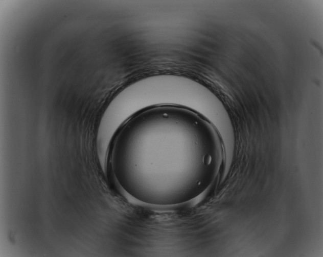 X0000092280417200710041414