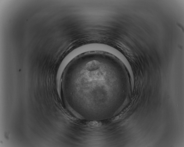 X0000092280421200710041414