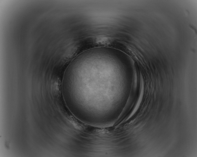 X0000092280424200710041414