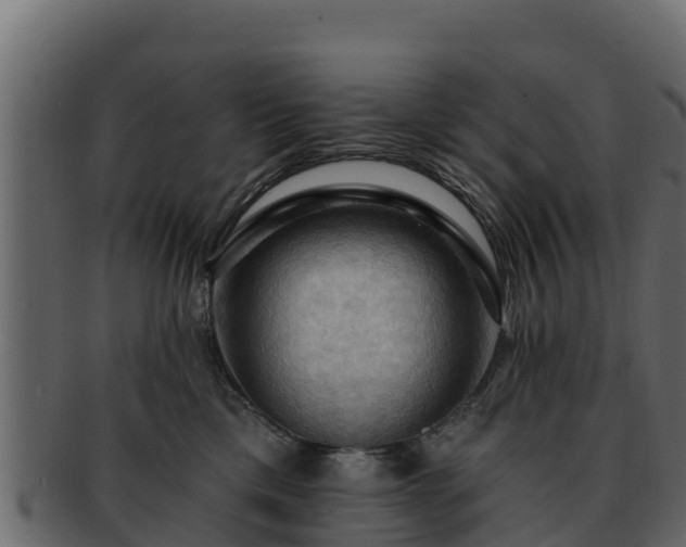 X0000092280425200710041414