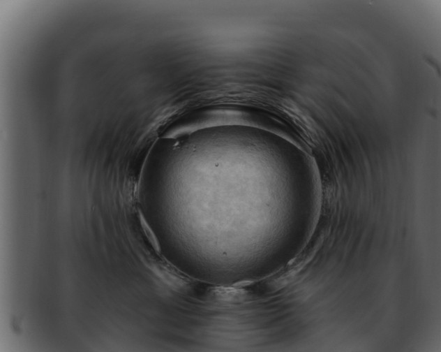 X0000092280429200710041414