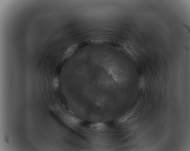 X0000092280431200710041414