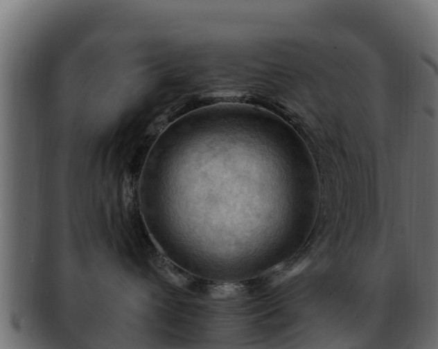 X0000092280432200710041414