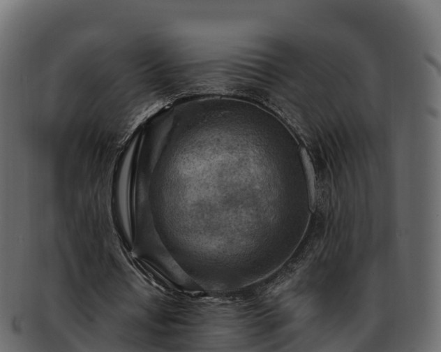 X0000092280434200710041413