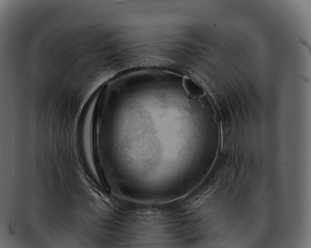 X0000092280435200710041413