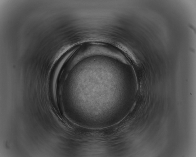 X0000092280436200710041413