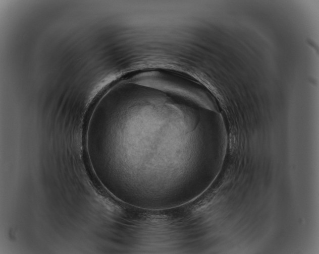 X0000092280438200710041413