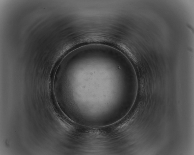 X0000092280439200710041413