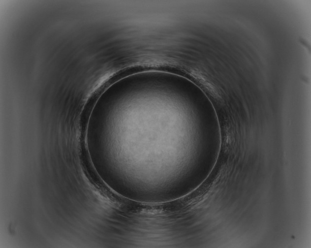 X0000092280440200710041413