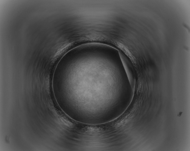 X0000092280442200710041414