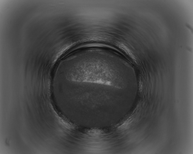 X0000092280444200710041414