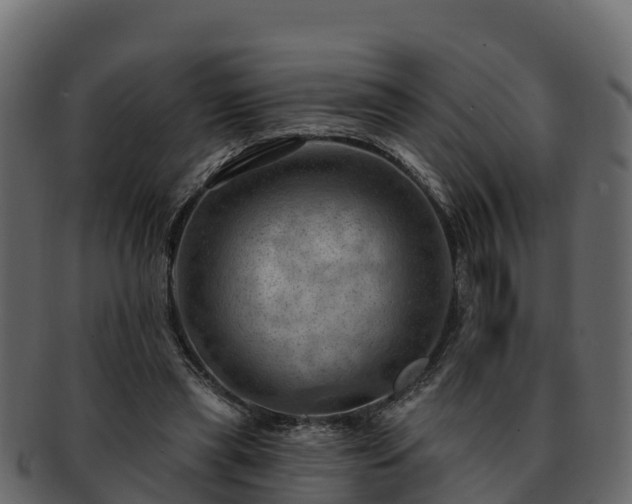 X0000092280445200710041414