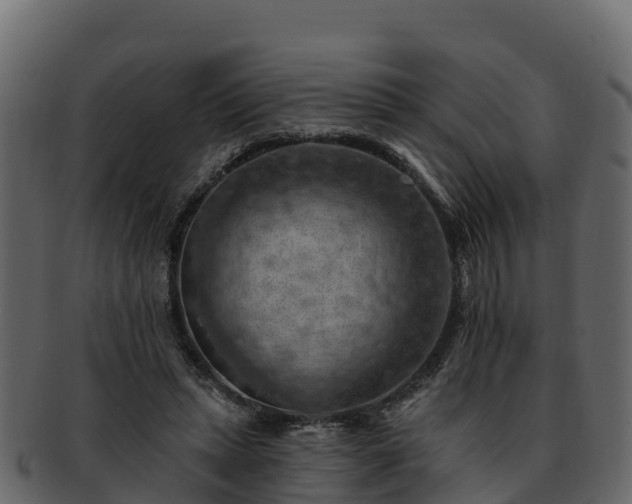 X0000092280447200710041414