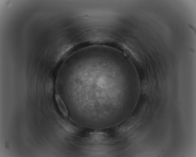 X0000092280448200710041414