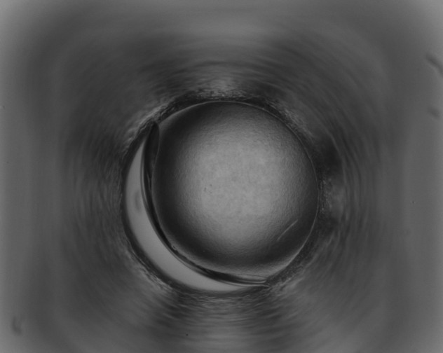 X0000092280450200710041414