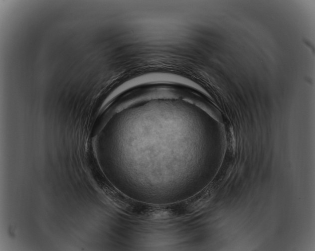 X0000092280456200710041414