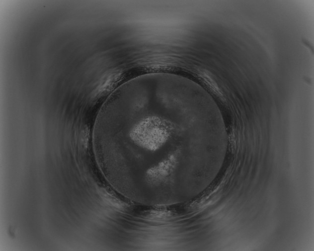 X0000092280458200710041414