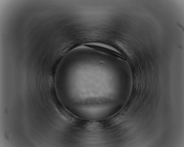 X0000092280459200710041414