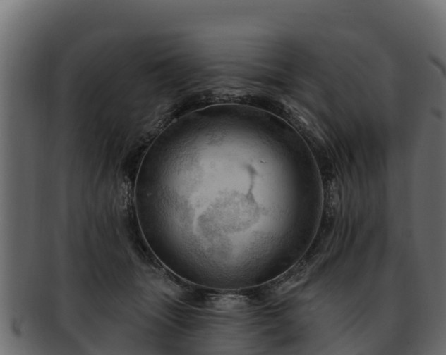 X0000092280463200710041414