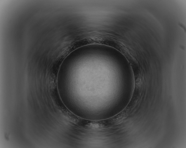 X0000092280464200710041414